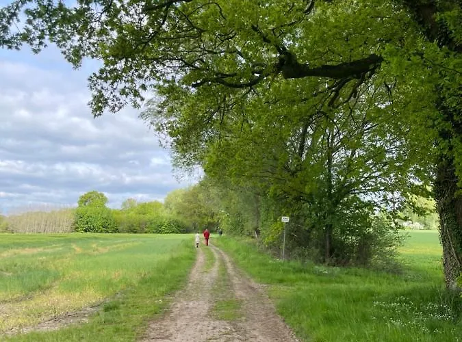 Lägenhet Luxus Lindenhof *